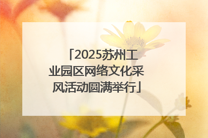2025苏州工业园区网络文化采风活动圆满举行