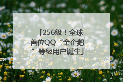 256级！全球首位QQ“金企鹅”等级用户诞生