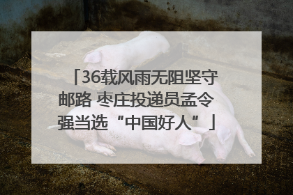 36载风雨无阻坚守邮路 枣庄投递员孟令强当选“中国好人”