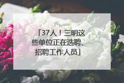 37人！三明这些单位正在选聘、招聘工作人员