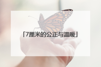 7厘米的公正与温暖