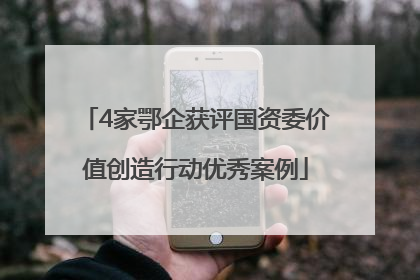 4家鄂企获评国资委价值创造行动优秀案例