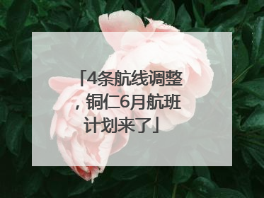4条航线调整，铜仁6月航班计划来了