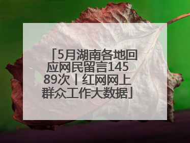 5月湖南各地回应网民留言14589次丨红网网上群众工作大数据