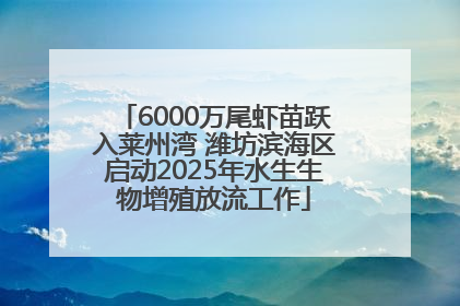 6000万尾虾苗跃入莱州湾 潍坊滨海区启动2025年水生生物增殖放流工作