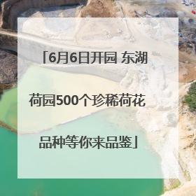 6月6日开园 东湖荷园500个珍稀荷花品种等你来品鉴