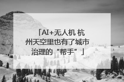 AI+无人机 杭州天空里也有了城市治理的“帮手”