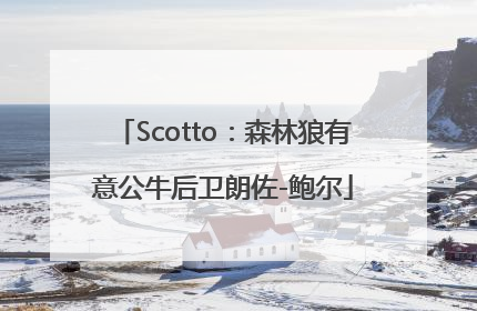 Scotto：森林狼有意公牛后卫朗佐-鲍尔